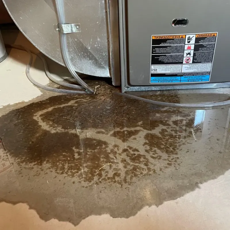Pipe Burst and Leak Restoration in Mercer County, PA