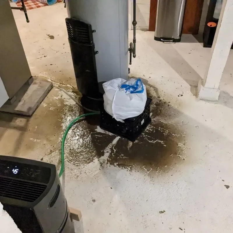 Sewage Backup Cleanup Service in Mercer County, PA